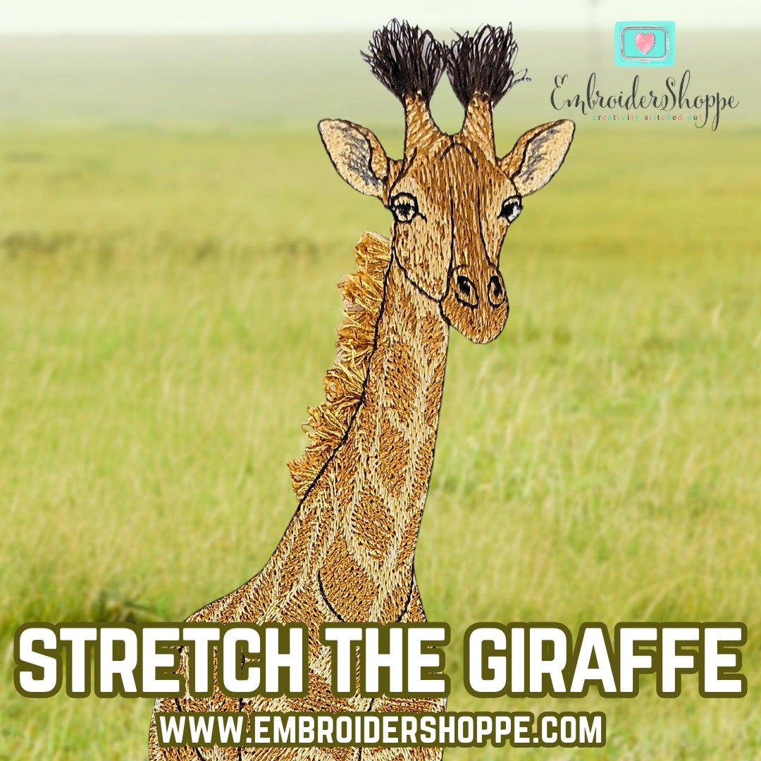 Stretch the Giraffe Webinar