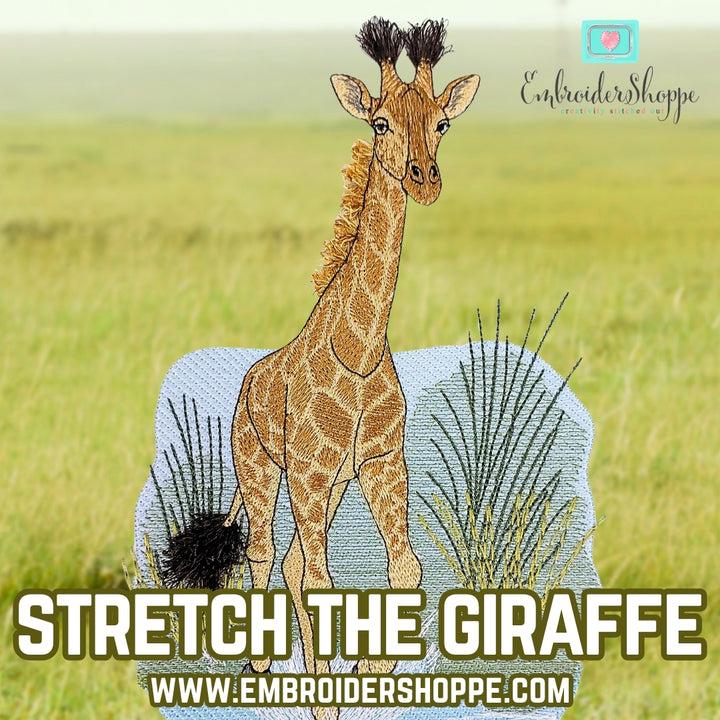 Stretch the Giraffe Webinar