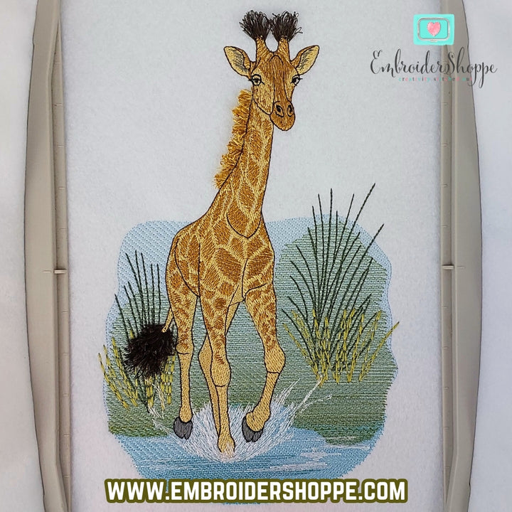 Stretch the Giraffe Webinar